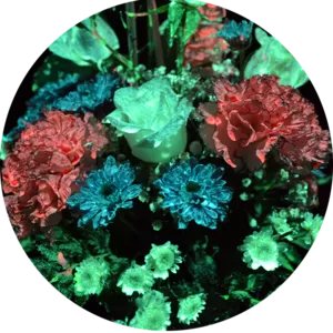 Светящаяся краска для цветов Acmelight Flower 