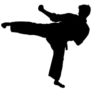 Детский тренер по каратэ Kyokushinkai ищет работу в Измайлово.