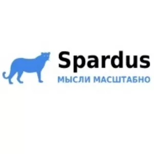 Spardus - Интернет маркетинг / Продвижение сайтов / SEO