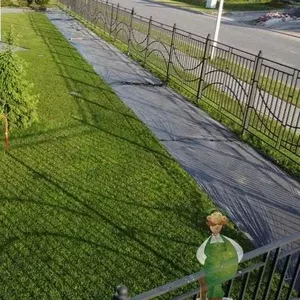 Благоустройство и озеленение участков в Санкт-Петербурге