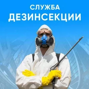 Служба дезинфекции в Москве