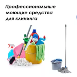 Моющие и чистящие средства (профессиональные)